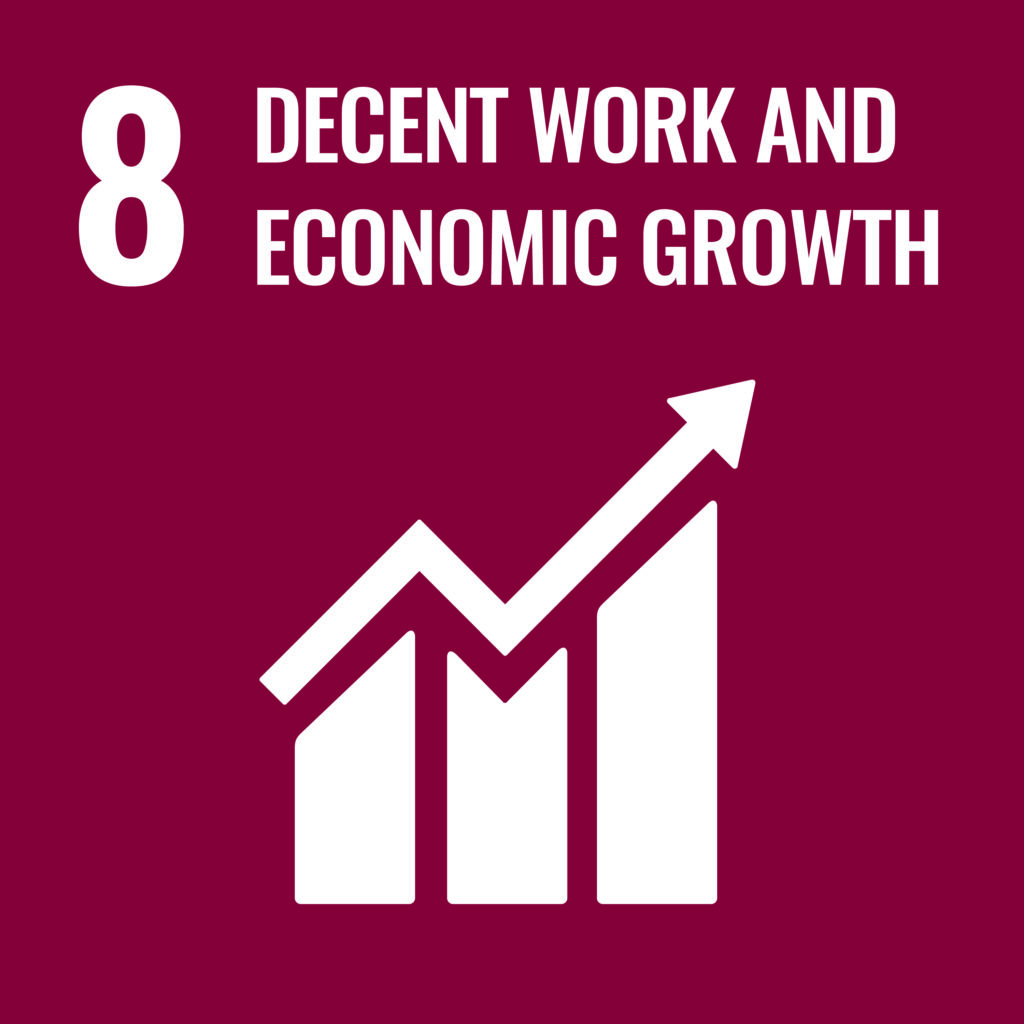 "Image depicting Goal 8: Promote sustained, inclusive, and sustainable economic growth, full and productive employment and decent work for all."