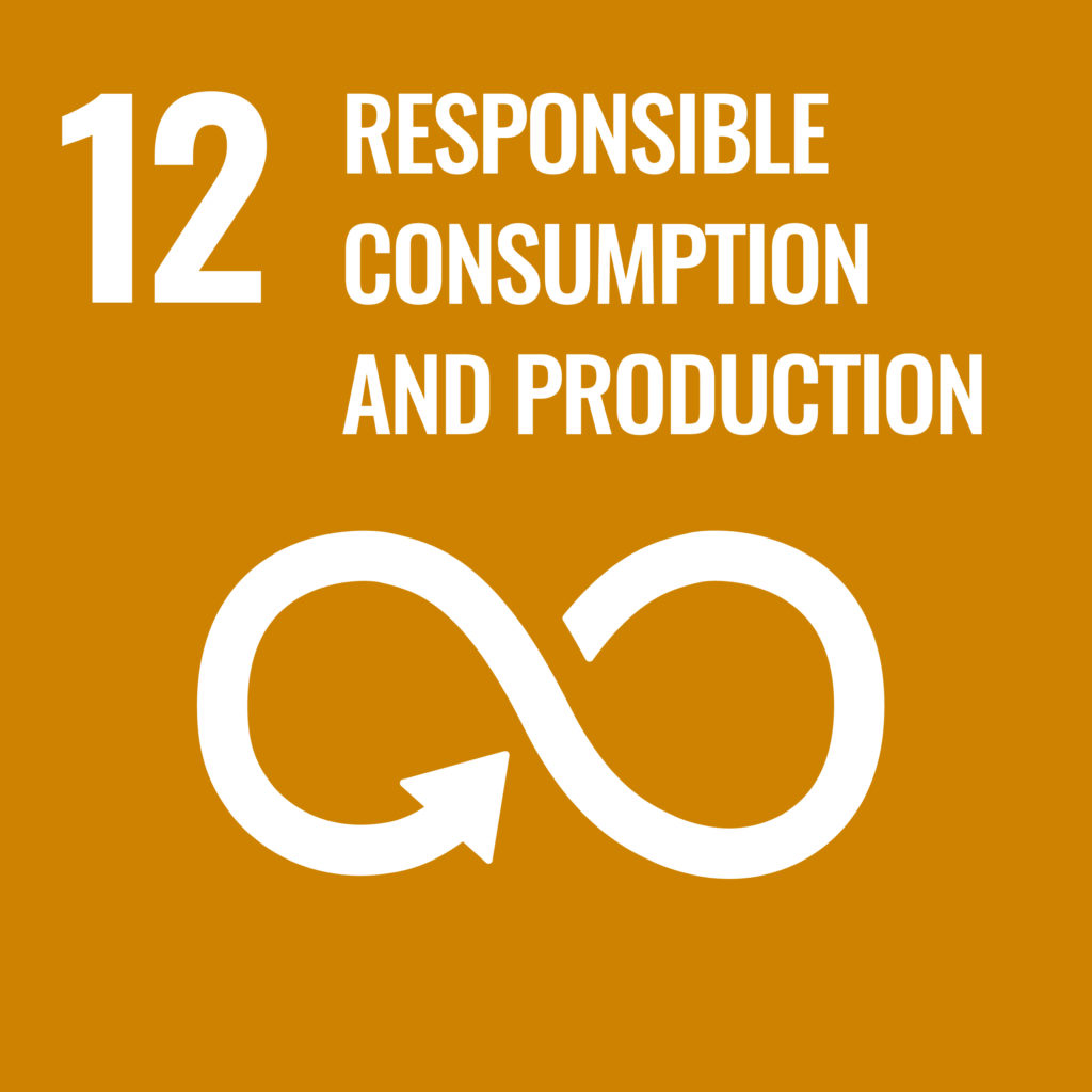 "Illustration for Goal 12: Ensure sustainable consumption and production patterns."