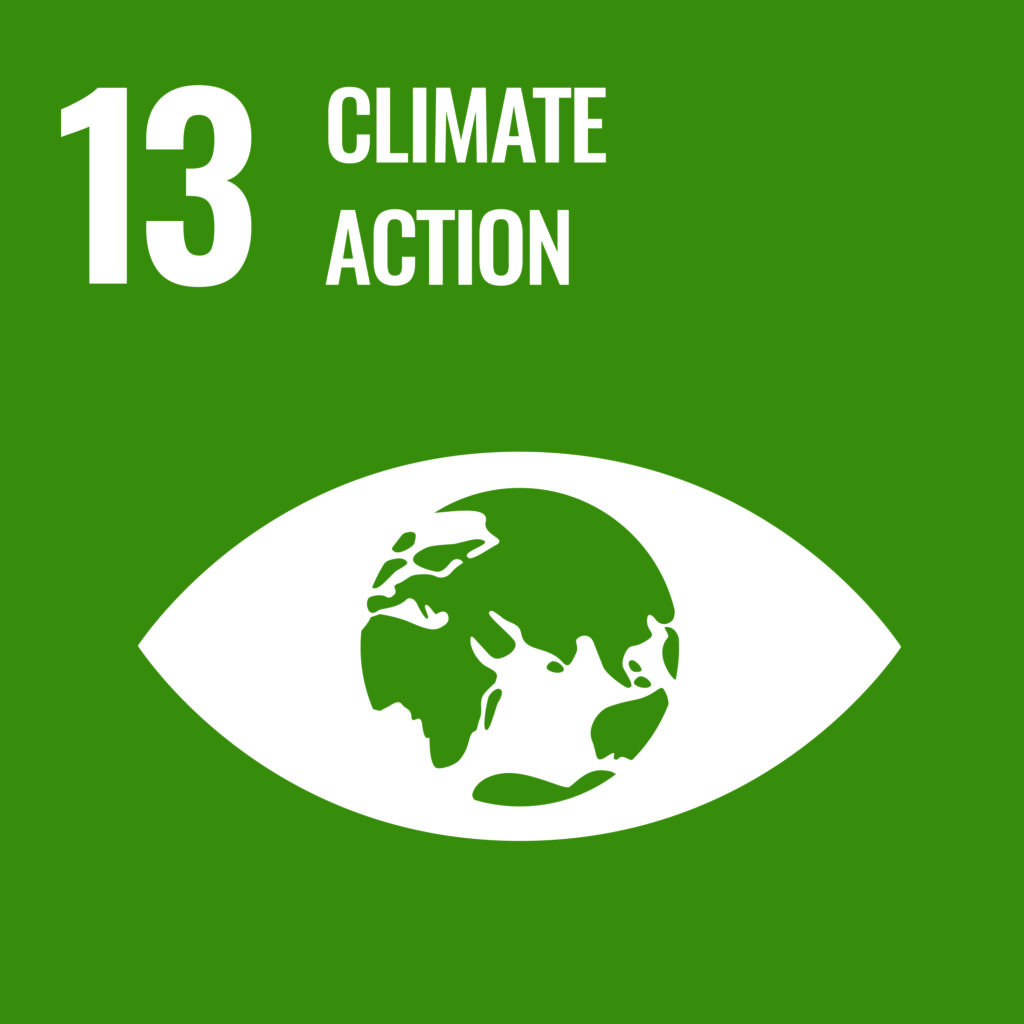 "Icon showcasing Goal 13: Take urgent action to combat climate change and its impacts."