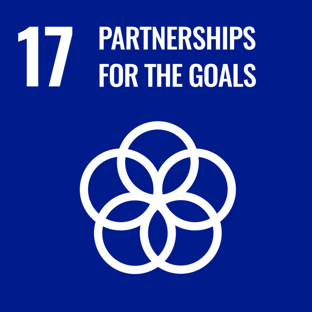 "Image for Goal 17: Strengthen the means of implementation and revitalize the Global Partnership for Sustainable Development."